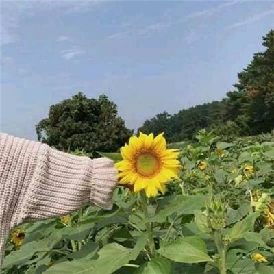 金价将触及 1 万美元?即便黄金步入熊市,市场观察人士仍坚定看涨预期